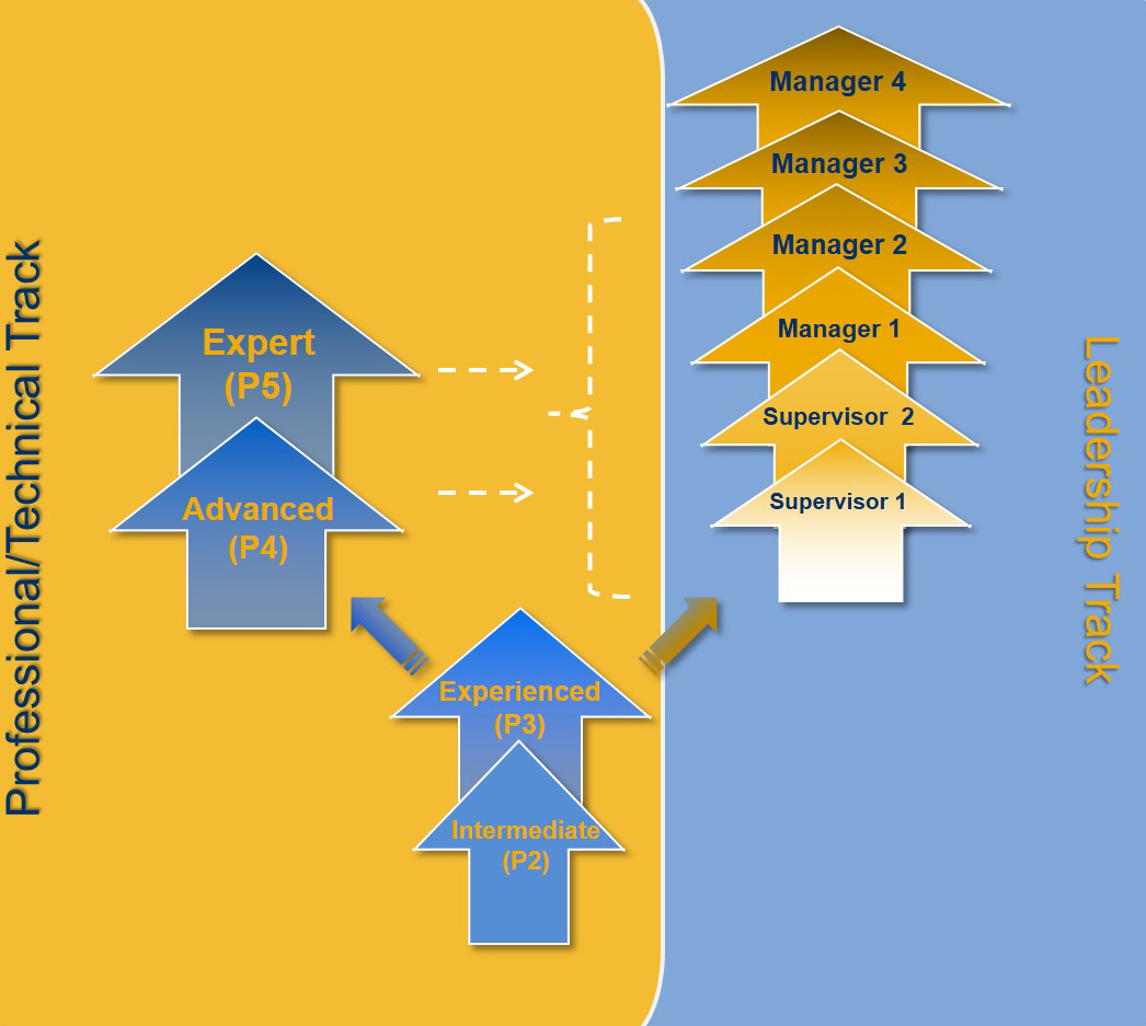 compensation_career-tracks_career-tracks-illustrated